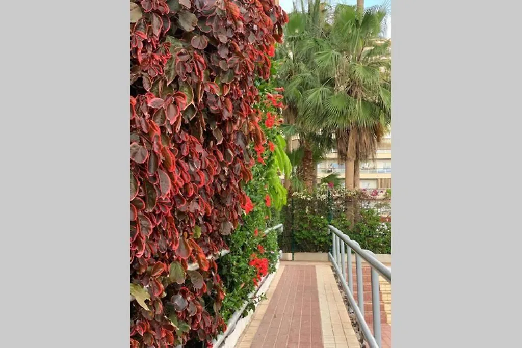 Jardines Del Sur, Ocean View Apartment Buzanada
